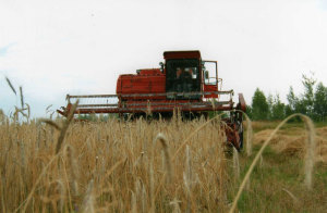 image001_b