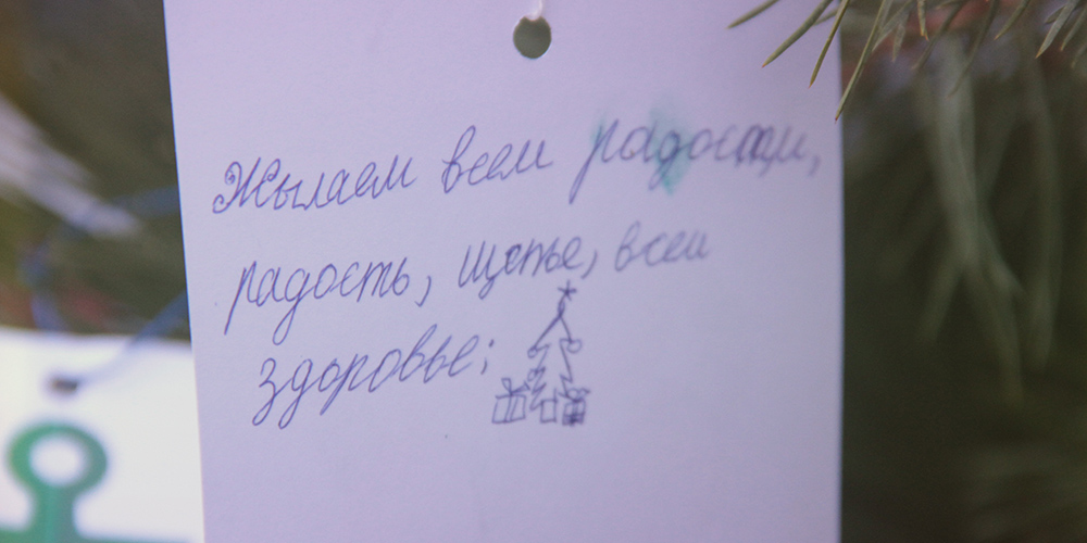 IMG_9325 Cropped