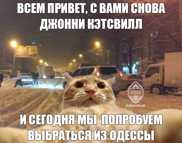 sOjMJYkaciQ