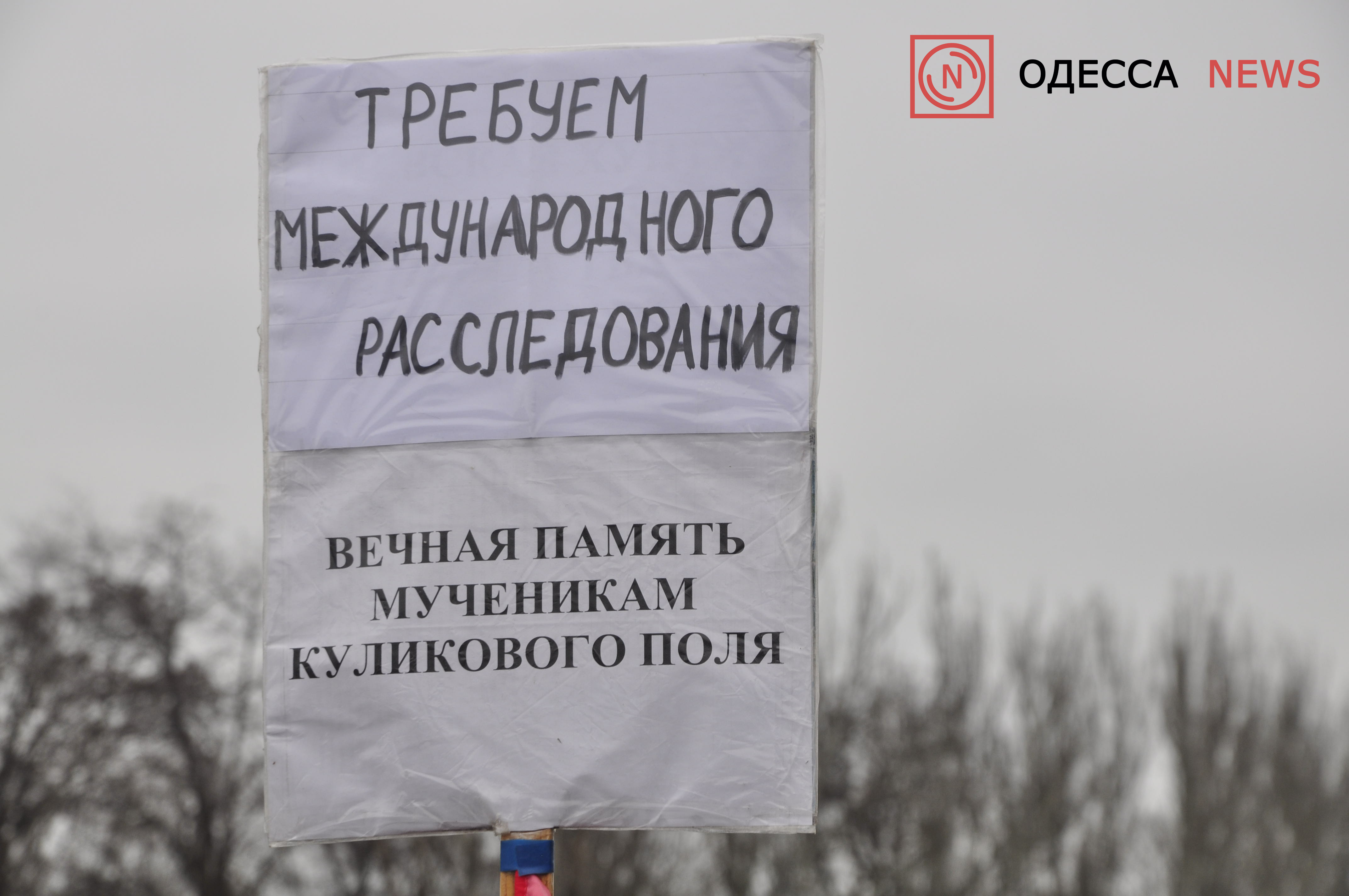 _DSC0446