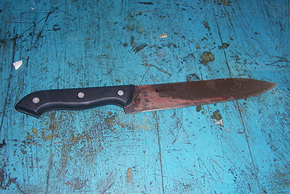 PM790image001