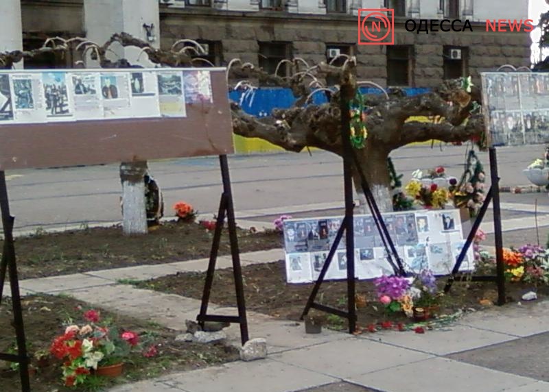 Куликово-поле-5