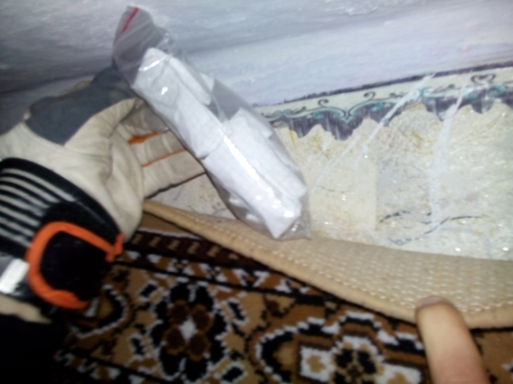 PM509image001