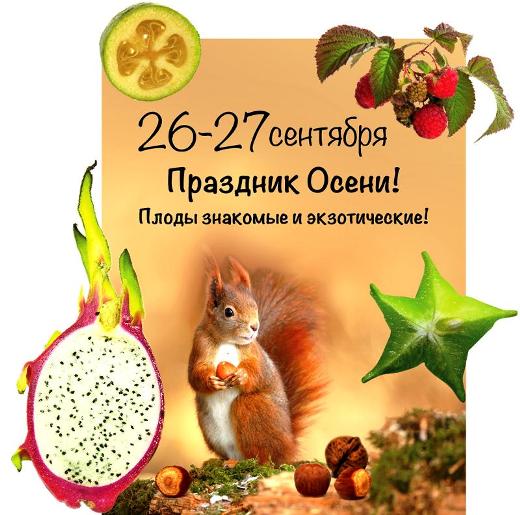 Festival