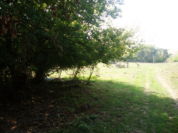 PM746image002 (1)