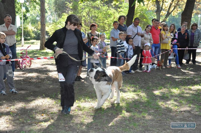 img1444037216142