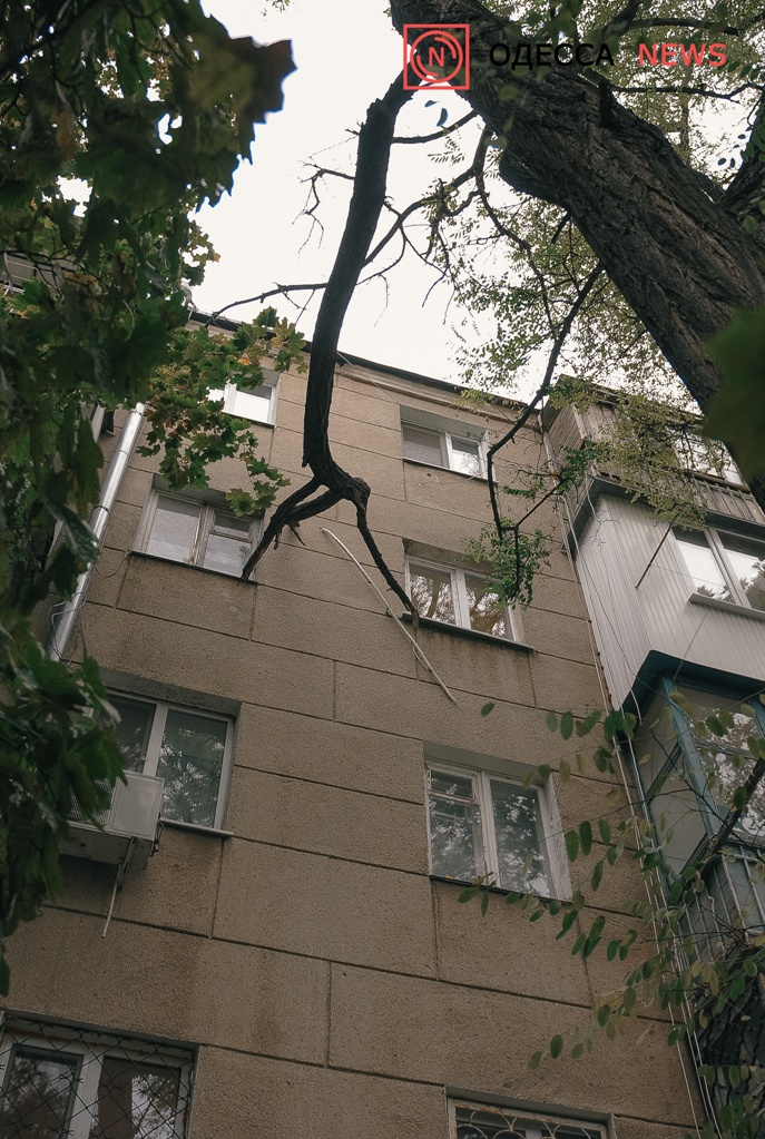 ллрор5