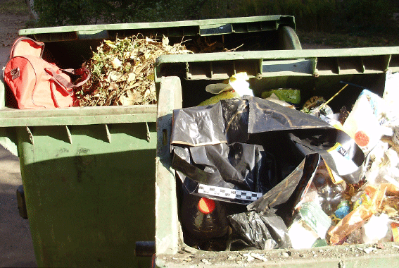 PM151image001