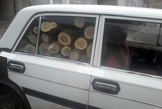 PM915image003