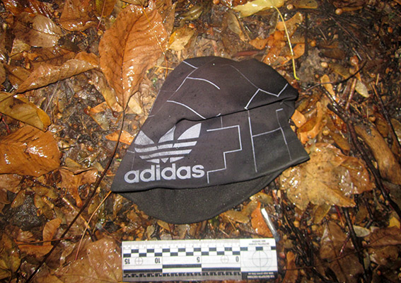 PM951image001