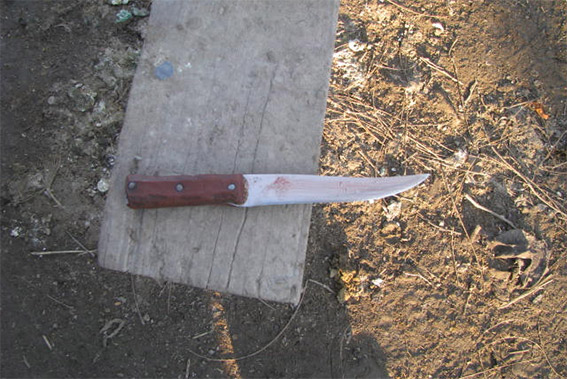 PM588image001