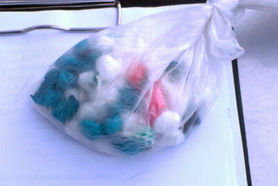 PM981image002