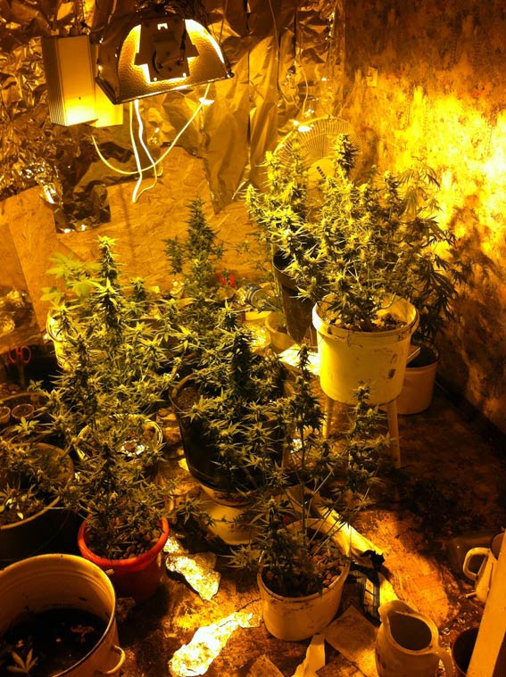 PM582image003