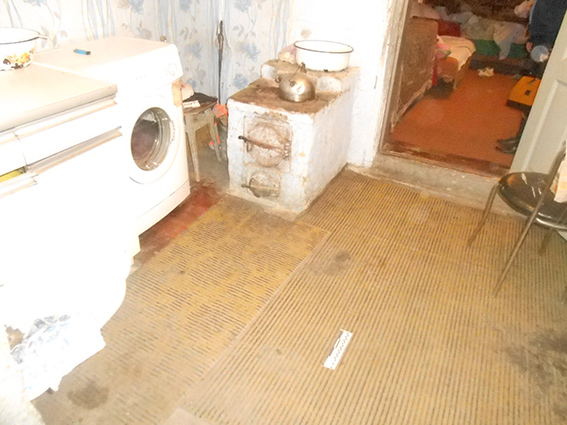 PM509image001