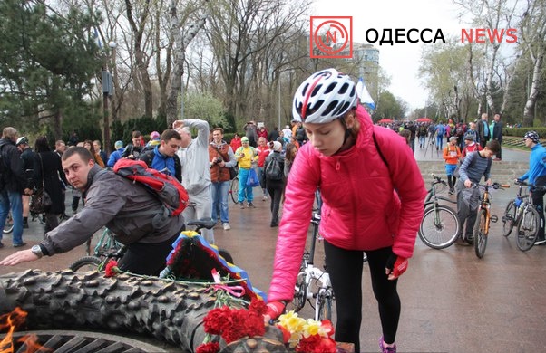 ллржжорлллл8