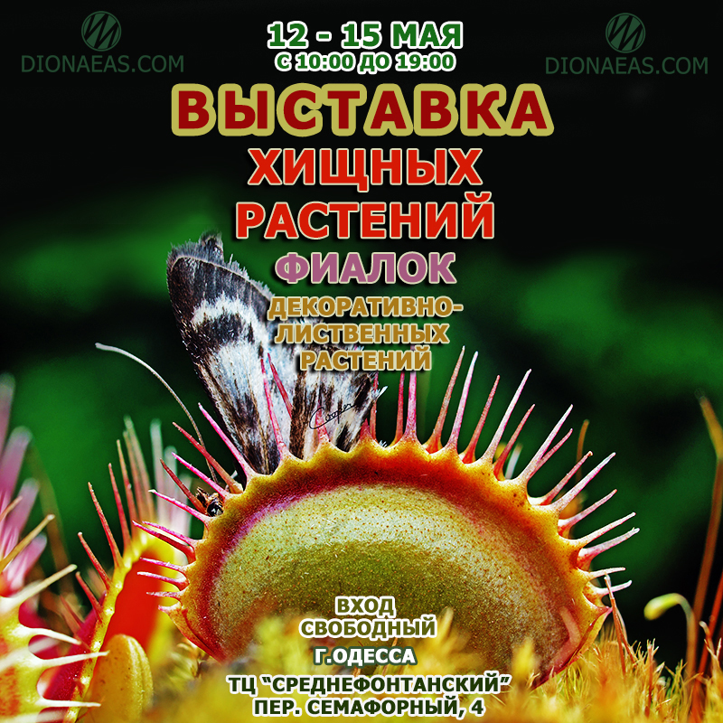 выставка 12-15 квардрат