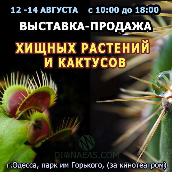 12-14августа2