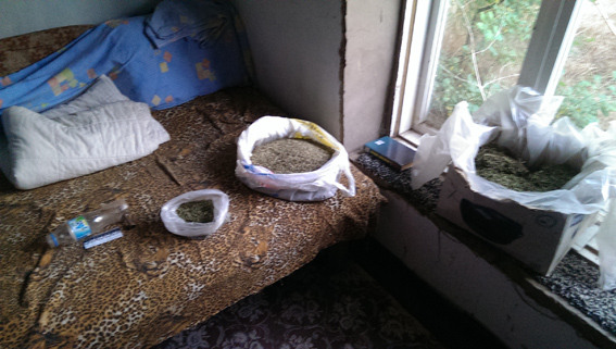 PM497image003