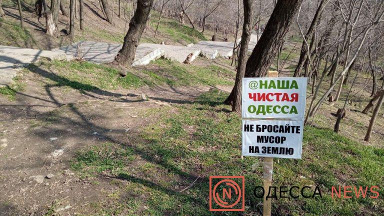 Наша чистая Одесса
