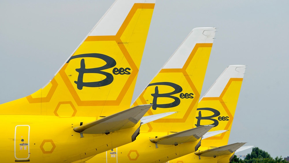 bees_planes_tails_zhulyany-Cropped.jpg
