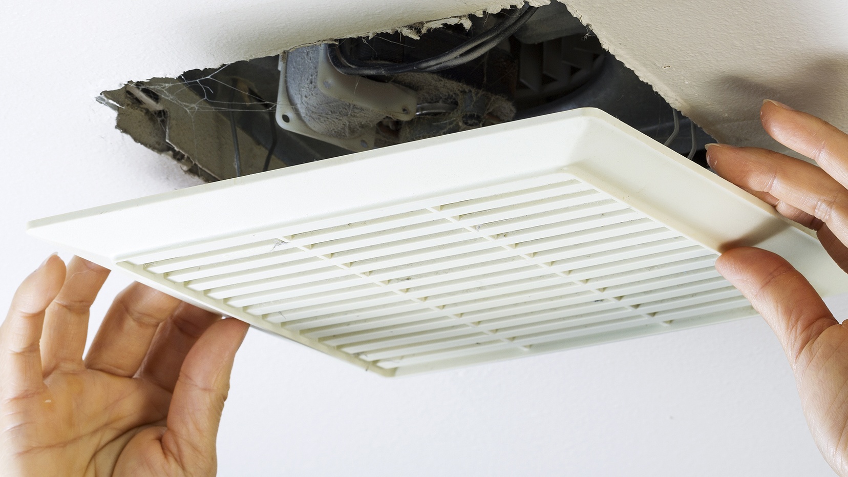 vent-main-new-istock-177047975-tab1962-.cfifgf.-Cropped.jpg