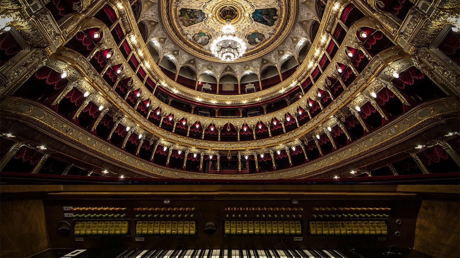 organ_foto-Cropped.jpg