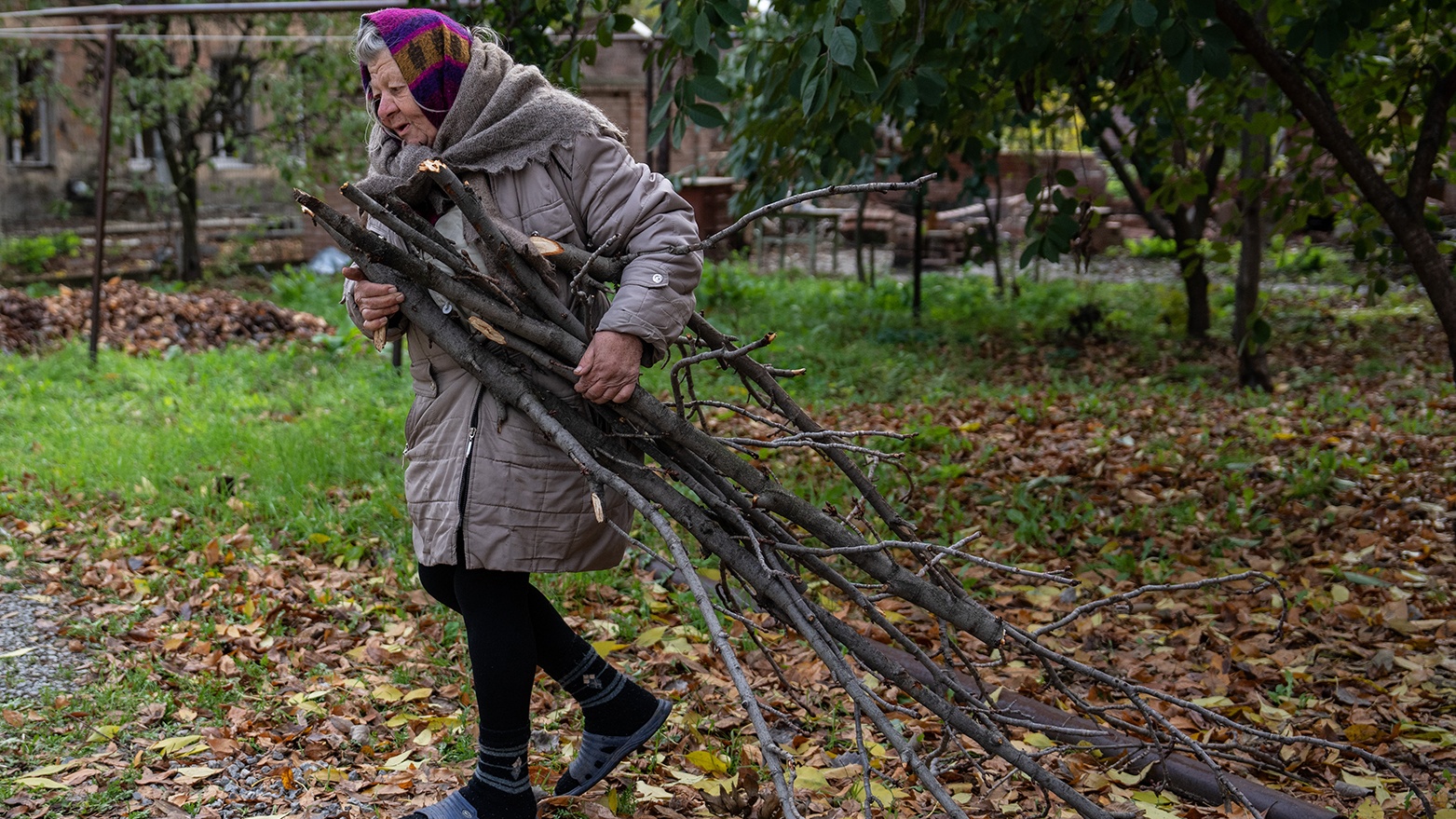 -жителька-збирає-дрова-GettyImages-1244122533-Cropped.jpg