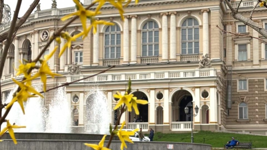 117279-Cropped.jpg