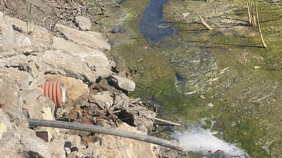 119030-Cropped.jpg