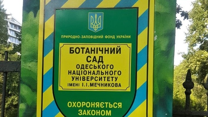 -сад.jpg