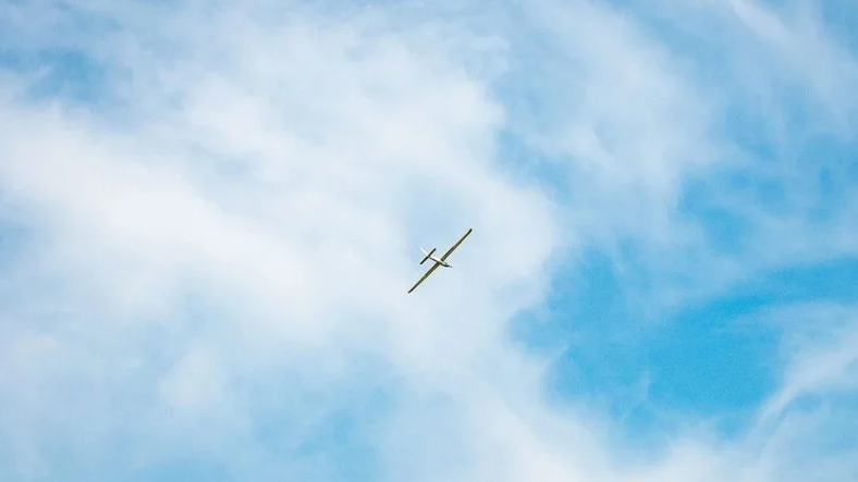 _2025-05-02_170307531-Cropped-1.png