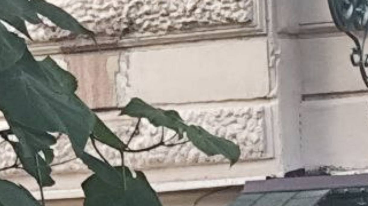 523799903_1174862118007754_2408172119741625282_n-Cropped.jpg