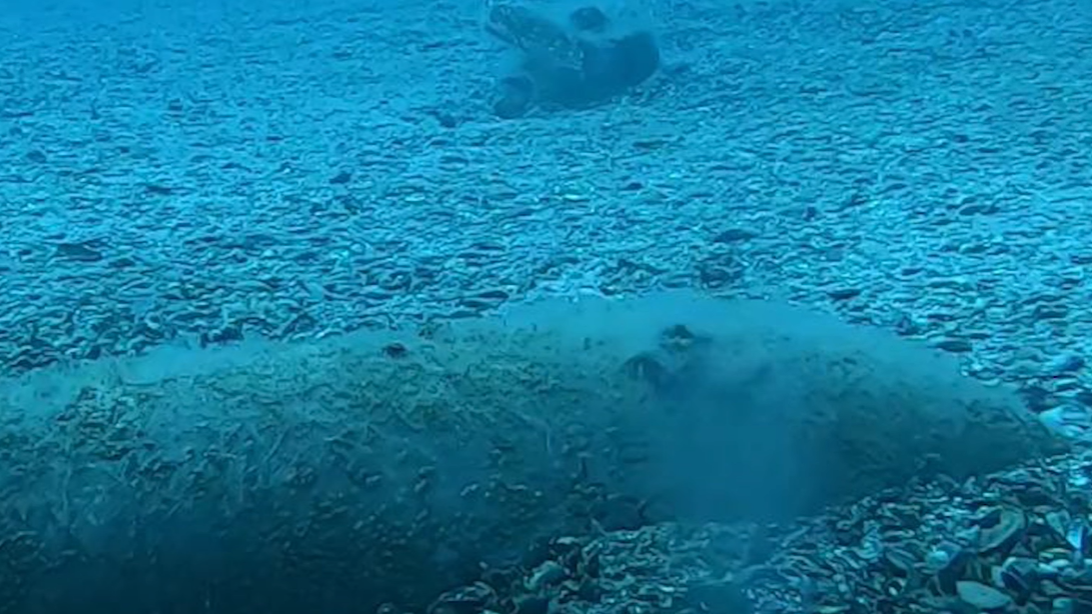 _2025-10-16_175814833-Cropped.png