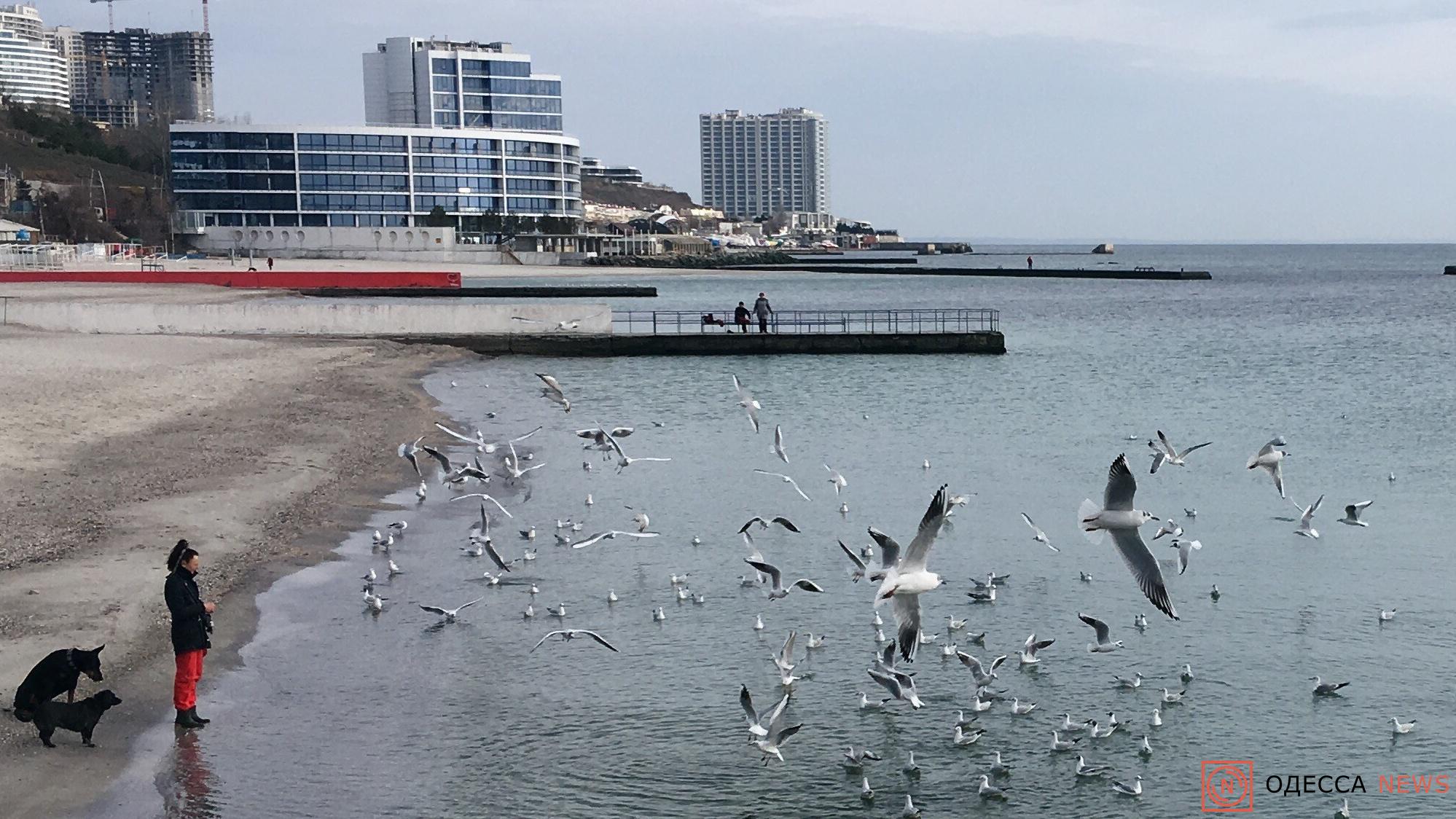 -море-чайки-март.jpg