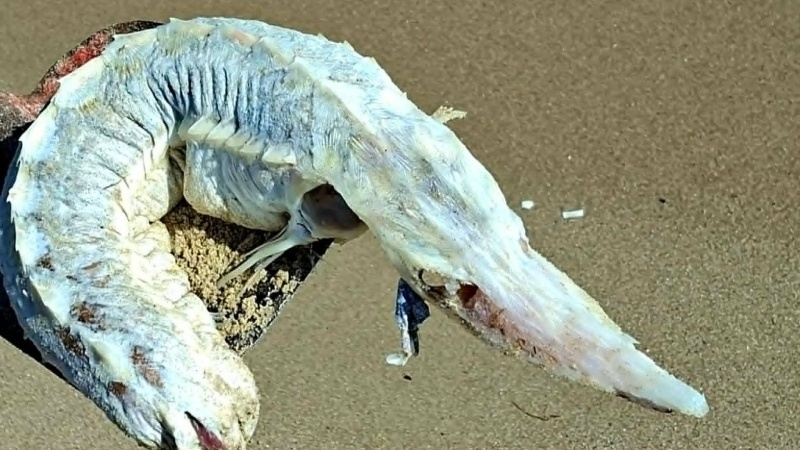 722119282_3194221207430616_3727208218593866004_n-Cropped.jpg