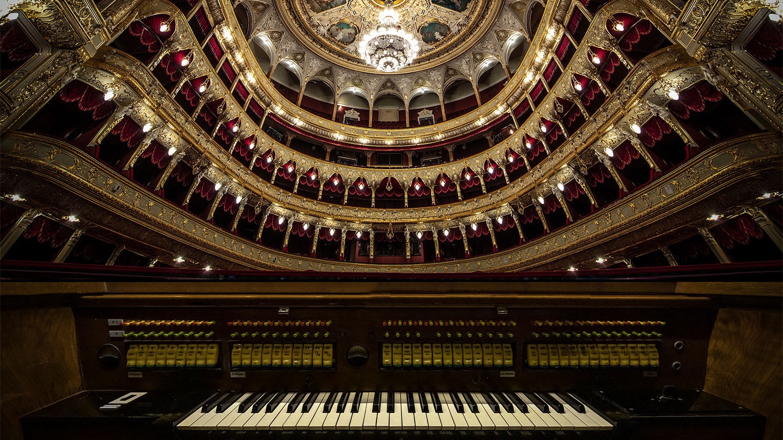 organ_foto-Cropped-2.jpg