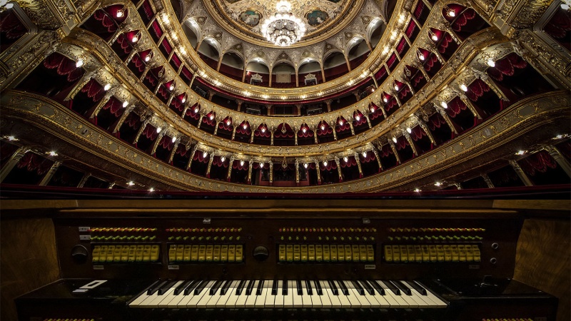 organ_foto-Cropped.jpg