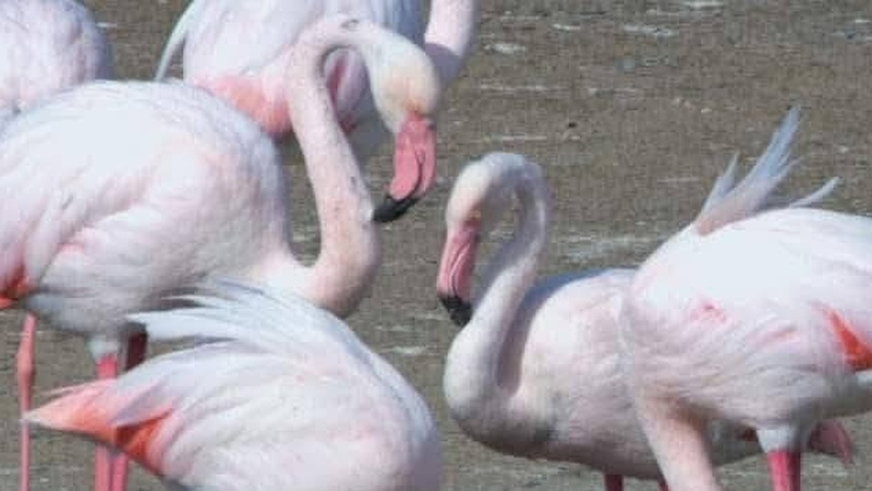 742129696_3219986971520706_8010327262494546311_n-Cropped.jpg