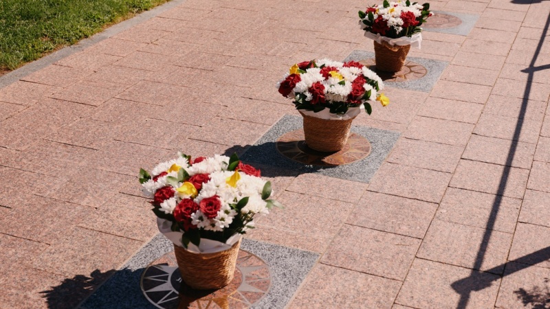 160176-Cropped.jpg