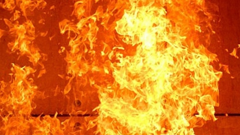 1-Cropped.jpg