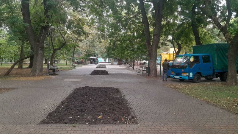 162184-Cropped.jpg