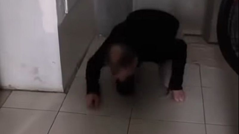 4454284-Cropped.jpg